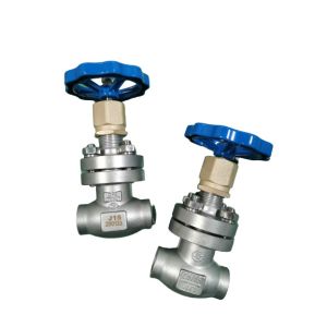 -80C Cryogenic Globe Valve With Socket Weld Ends