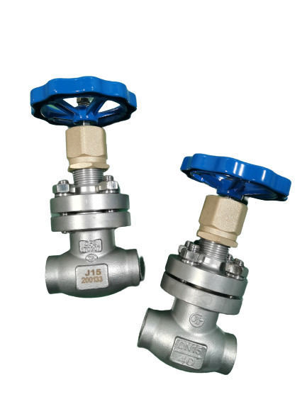 Buy -80C Cryogenic Globe Valve With Socket Weld Ends at wholesale prices