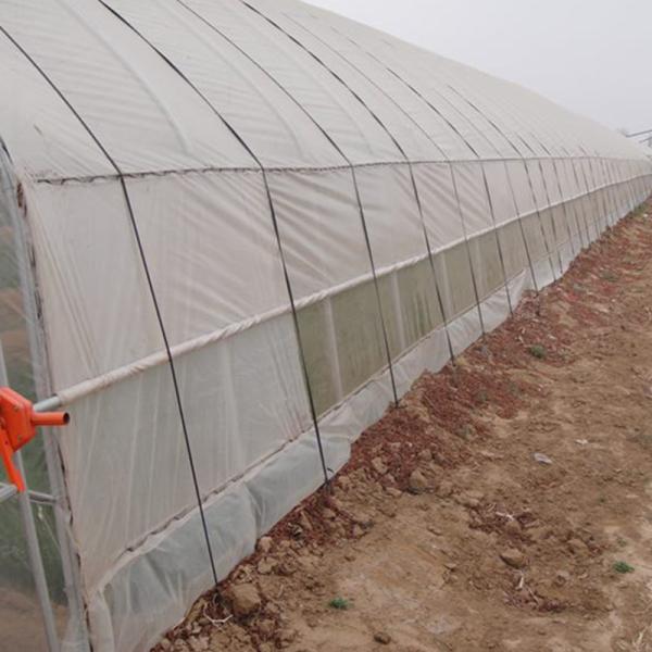 Buy Single-Span Agricultural Mini Greenhouse for Vegetables Easily Assembled at wholesale prices