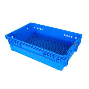 Mesh Style Plastic Food Turnover Box for Eco-Friendly Bread and Food Storage