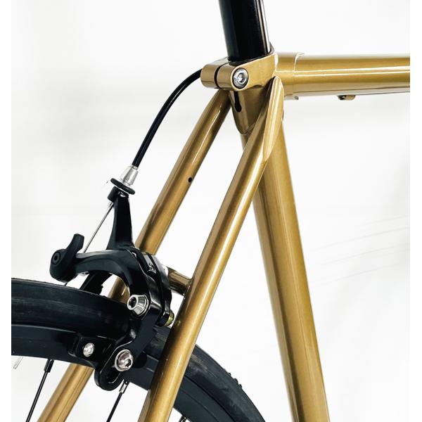 Fork Material CR-MO Steel 700C Lugged Frame 2 Speed Sturmey Archer Hub Fixed Gear Bike