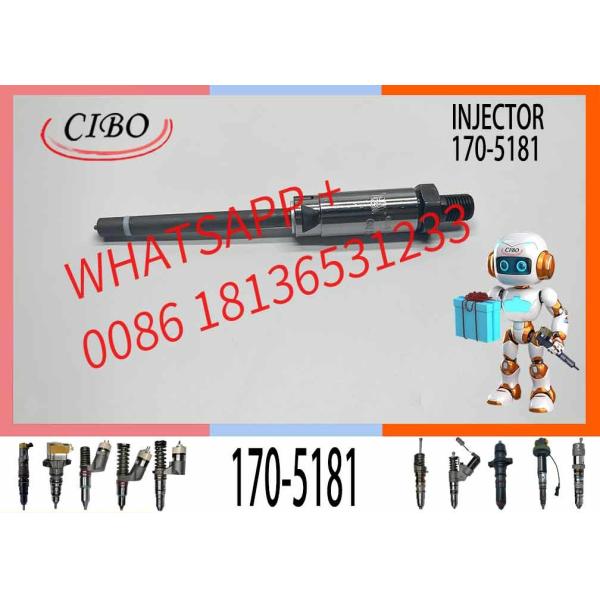 Fuel Injector 7W7045 0r-3591 170-5181 for Excavator Engine 3306b 3306 973 973c