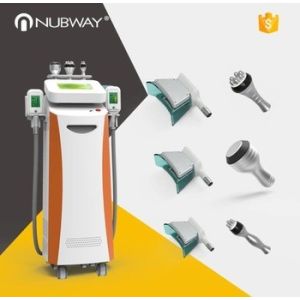 Quality 5 cryo handles 5 inch touch handle screen cryotherapy device cellulite non-invasive weight loss fat freezing machine for sale