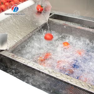 Leaves Leafy vegetables Cabbage varieties Herbs Fruiting vegetables Vegetables