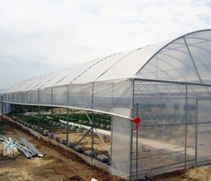 OEM ODM Plastic Sheeting Rolls Greenhouse Anti Aging Anti Fog