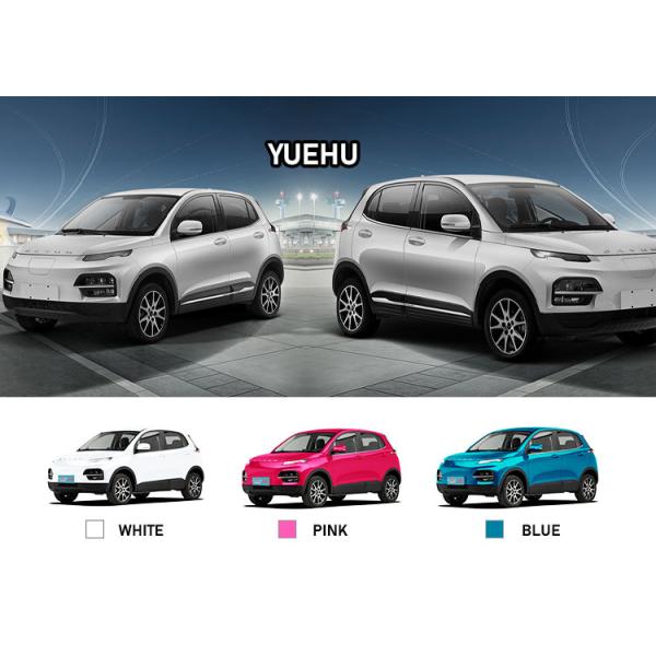 DAYUN M1 Energy Vehicles Electric Car Adult Car Luxury 2023 Yuehu ES3 300km Long Range EV