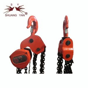 Big Capacity Hoist Lifting Devices Equipment Economical Slim Shape