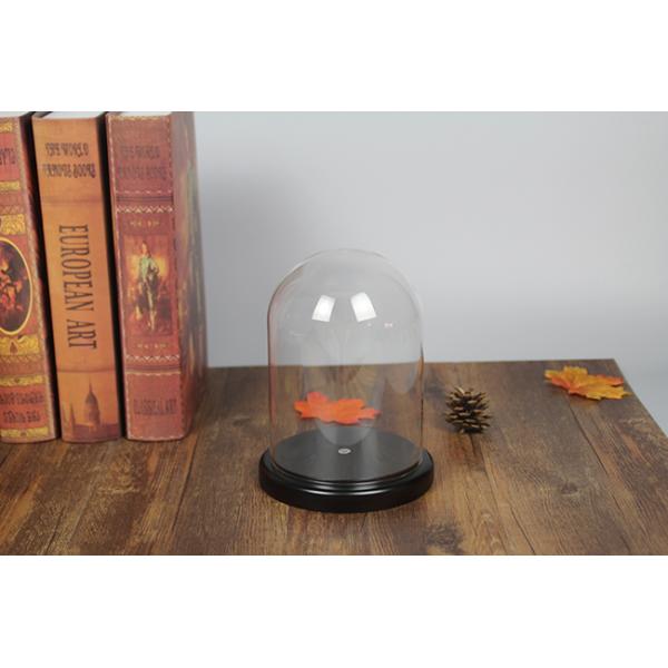 Customized Glass Homeware Dome Display Handblown Vintage Victorian Style