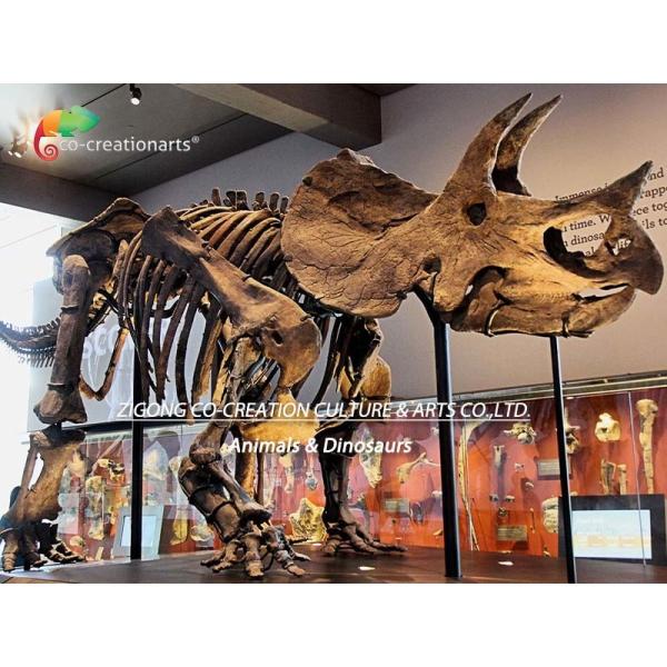 Road Decoration Dinosaur Triceratops Skeleton