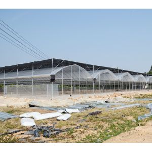 No Roof Vent Agricultural Greenhouse Vegetable Growing Single Span Greenhouse