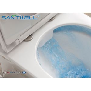 Ceramic Wall Mounted WC two piece toilet with australian standard