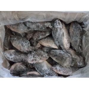 Top quality frozen Tilapia fish of frozen tilapia whole round