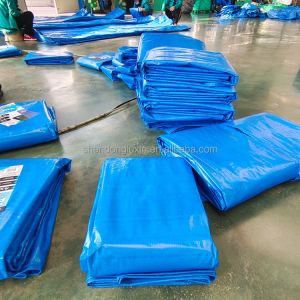 Printed 50gsm Blue PE Tarpaulin Flexible and Lightweight for Easy Handling