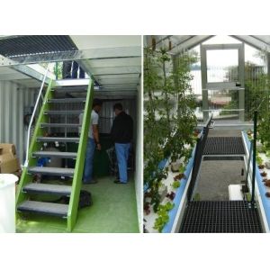 Juxiang Leafy Vegetable Greenhouse Department jx-cg-0003 Shipping Container