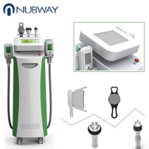 5 Handles coolscuolting fat cellulite reduction cryolipolysis fat freezing