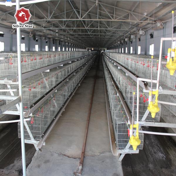 Buy Durable Layer Baby Chick Cage SGS Manure Removing at wholesale prices