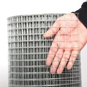 Galvanized Welded Wire Mesh Roll 1cm 2cm Grid 1x20m Wall Anti Crack Welded Wire