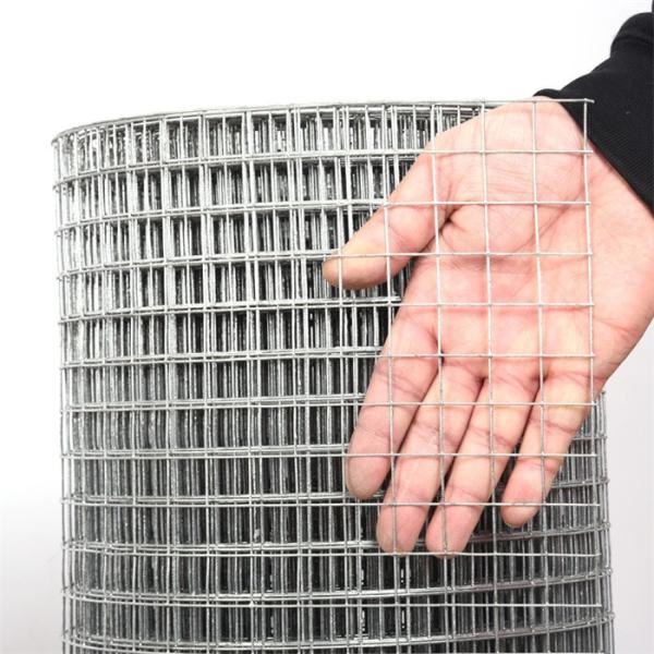 Galvanized Welded Wire Mesh Roll 1cm 2cm Grid 1x20m Wall Anti Crack Welded Wire