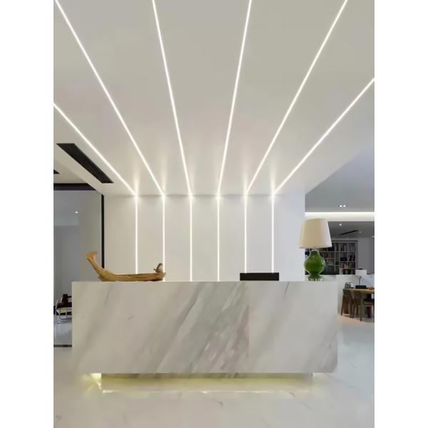 120LEDs/M LED Neon Flex Lighting 12V 24V 120V 240V Neon Flex Silicone