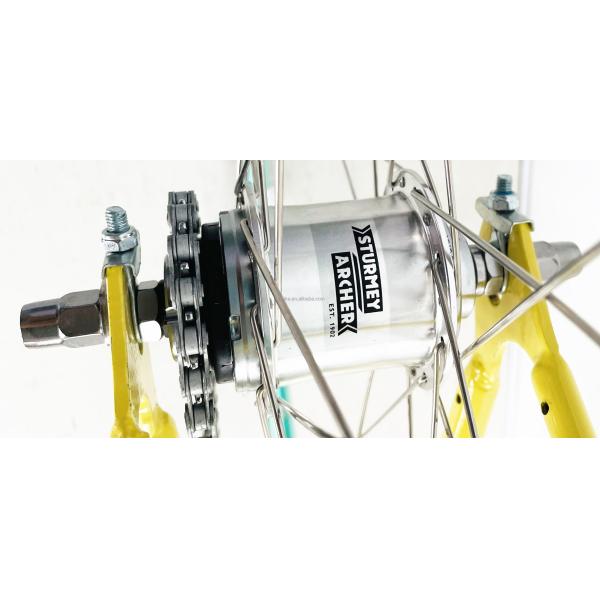 11KG Sturmey Archer 700C OEM/ODM American CE CPSC Inner 2S Hub Bike