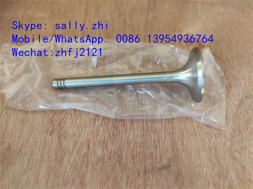 sdlg Exhaust valve 4110000054215 for Weichai Deutz TD226B WP6G125E22, weichai engine parts for sale