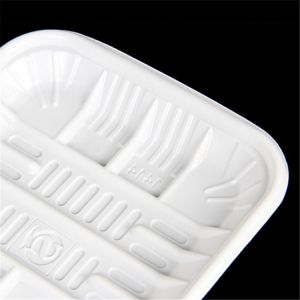 OEM ODM 19*12*2cm Frozen Food Tray Packaging