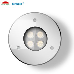 SS316 IK10 3W 170ma 300LM Led Underwater Pool Lighting