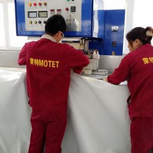 Ground Mounted Dual Membrane Biogas Balloon With Capacity 50 – 20000m3