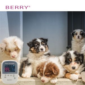 Hand Held Veterinary Patient Monitor Sp02 And Pulse Rate
