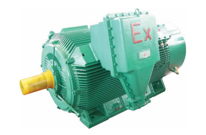 China TBYCPXhigh-voltage explosion-proof ultra efficiency variable frequency speed regulation 3-phase permanent magnet synchronous motor TBYCPX-5602-6 TBYCPX-5603-6 TBYCPX-5604-6 TBYCPX-4001-8 TBYCPX-4002-8 on sale