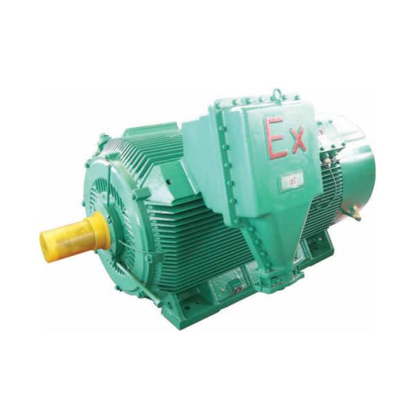 TBYCPXhigh-voltage explosion-proof ultra efficiency variable frequency speed