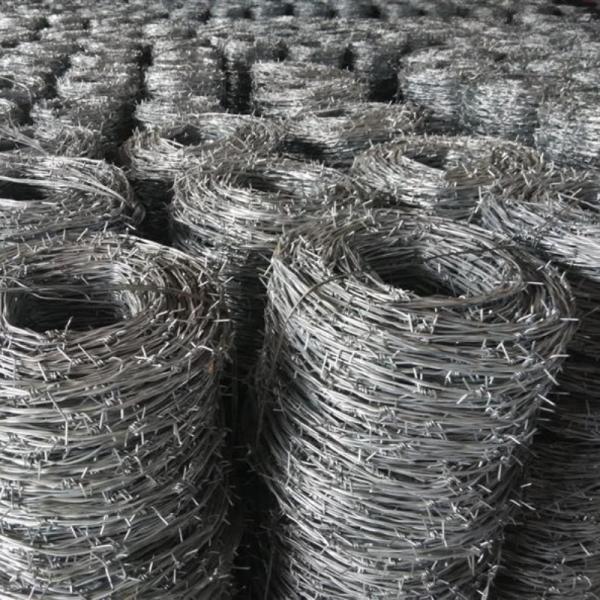 Q195 Steel Farm Fence Highway Protection Galvanized Barbed Wire