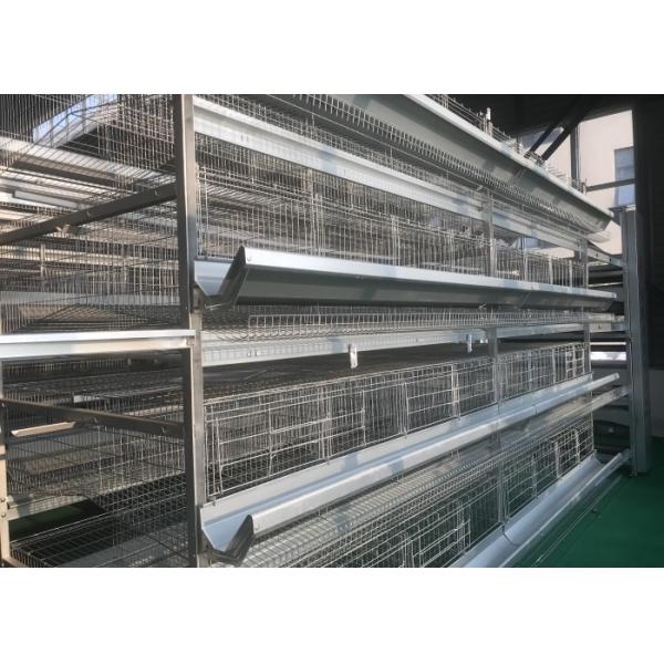 Buy High Density Automatic Poultry Feeder System Small Footprint Saving Land at wholesale prices