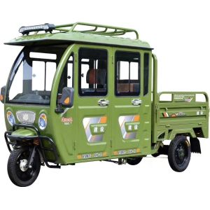 Quality Enclosed Electric 1000kg Tricycle For Water Delivery for sale