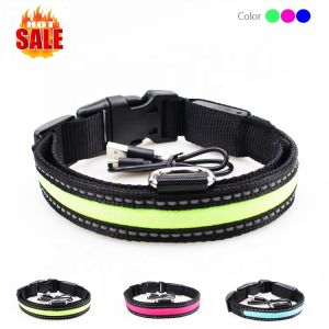 Custom USB LED Dog Collar Nylon Print Adjustable Reflective Rechargeable
