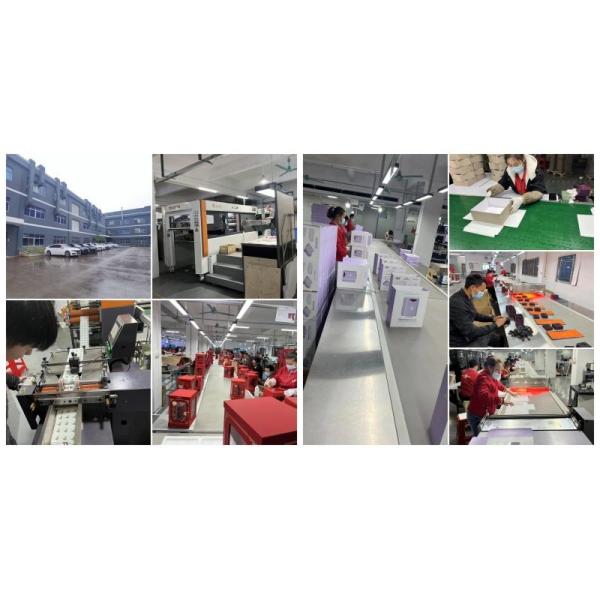 Double Flaps Rigid Wine Packing Boxes With PS Blister Tray OEM, Soy ink printing