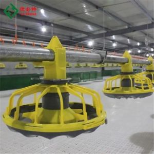 Waterproof Automatic Poultry Farm Equipment Chicken House Feeders Drinkers