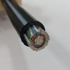 Cable Solidal Concentric Cable 16sqmm Single Core With 4 Insulated Copper