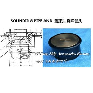 Stainless steel sounding head A100 CB/T3778-99