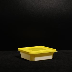 Customized Bpa Free Fast Food Box With PP Material Printing