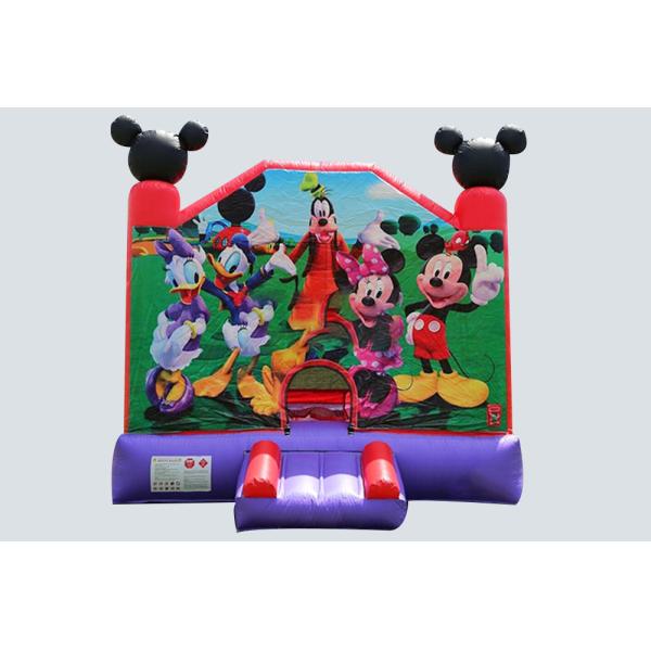 Inflatable Bouncer Castle House Party Jumping Bouncer Trampoline Theme