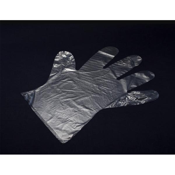 Disposable Clear Polythene Gloves PE Food Gloves Powder Free , Food Prep Handling Gloves