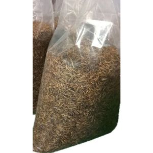 Nutrient-rich Worm Meal for Pigs - 57% Protein 1 Year Shelf Life Guarantee