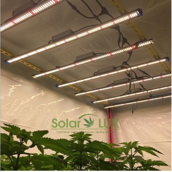 Buy UL8800 Full Spectrum LED Grow Lights 90Watt Horticultural Lighting at wholesale prices