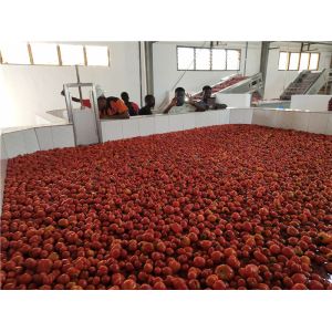 SUS304 50T/H 440V Tomato Ketchup Production Line