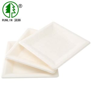 Rectangular Eco Friendly Biodegradable Sugarcane Bagasse Plates Birthday Party