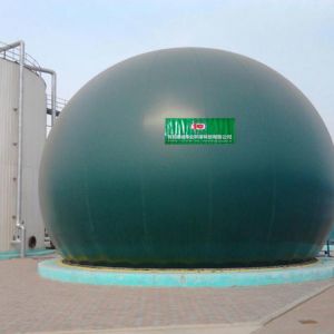 Dung Biogas Plant Project UASB Anaerobic Digestion Power Plant