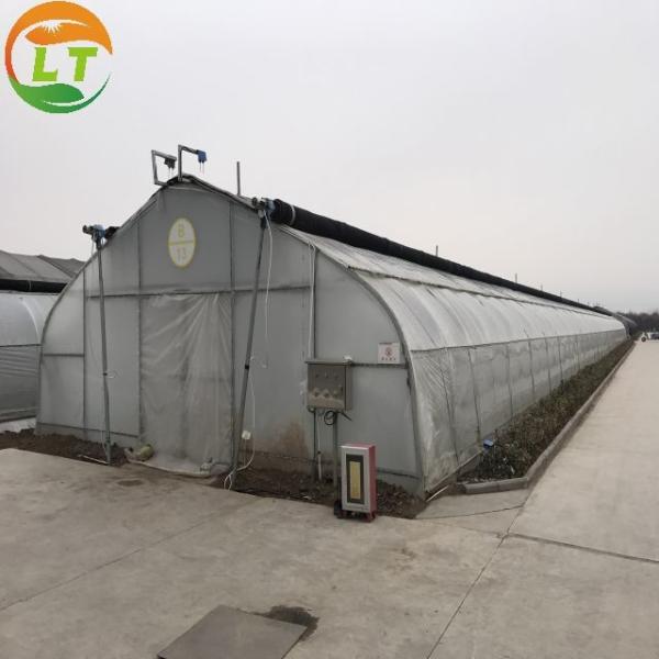 Vegetables Growing in Small Mushroom Tunnel Greenhouse for Small-Scale