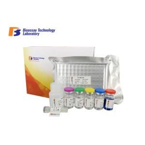 Quality Platelet Selectin Human Elisa Kit With 0.22ng / ml strong Sensitivity for sale