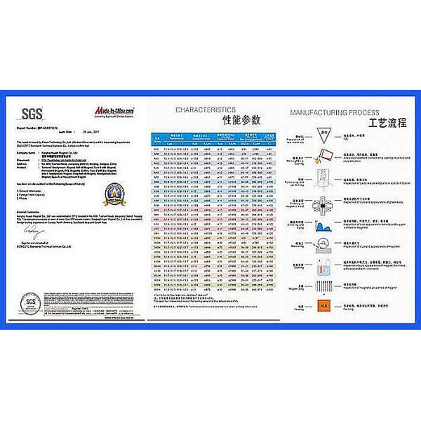 High Grade Strong Irregular Arc Shaped Magnets NdFeB For Industry